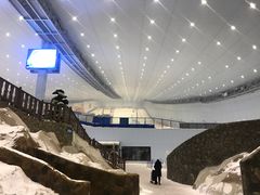 -哈尔滨热雪奇迹