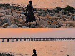 -宝安西湾红树林湿地公园