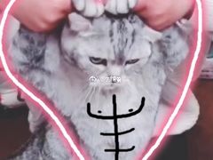 -鱼酷活鱼烤鱼(恒隆广场店)