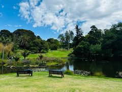 -墨尔本皇家植物园