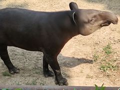 -北京动物园