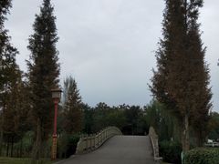 -眉山湿地公园(东坡区)