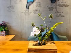 -ZING COFFEE 镜咖啡