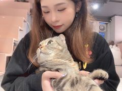 -猫儿山۰猫主题餐厅