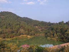 -广州白江湖森林公园