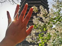 -玲珑塔公园