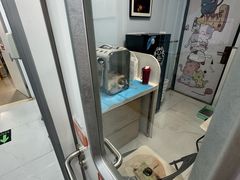 -纳吉亚猫专科动物诊疗中心(蒋宅口分院)