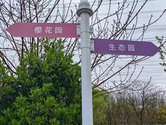 -高东镇樱花园