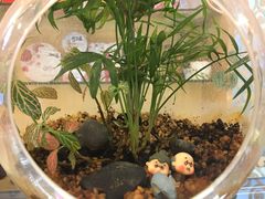 -家琳甜品(江南东店)