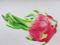 -八哥美术·成人美术画室(总校区)