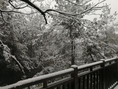 -天目湖涵田半山温泉