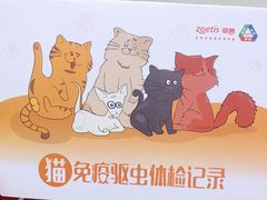 -佳怡动物医院·平价24小时·猫专科骨外科