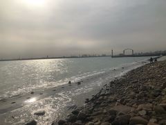 -东疆建设开发纪念公园