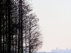 -蠡湖大桥公园