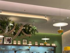 -Aqua Oasis 水天堂(太湖中心mall店)