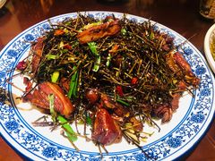 茶树鸭-杨记隆府(白象街店)