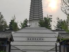 -舍利塔滩地公园-无垢净光舍利塔
