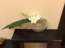 -Oasis Beauty水磨坊科技美肤中心
