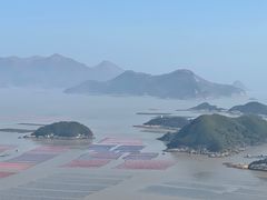 -花竹村