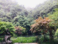 -拾溪餐厅·包厢(杭州千禧度假酒店)