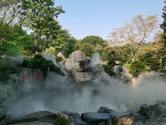 -东莞植物园