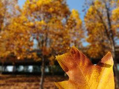 -大钟寺古钟博物馆