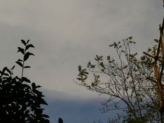 android_upload_pic-西安化觉巷清真大寺