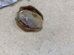 -老字号蛇口德记烧腊饭店·海鲜加工
