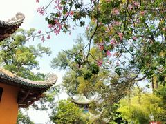 -南华禅寺