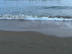 -秦皇岛野生动物园