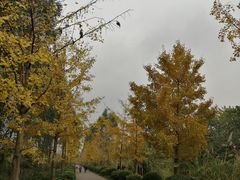 -白鹭湾湿地公园