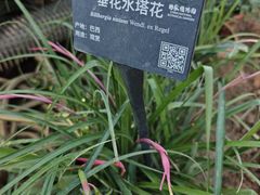 -国家植物园南园