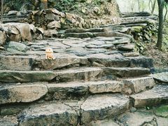 -北京鹫峰国家森林公园