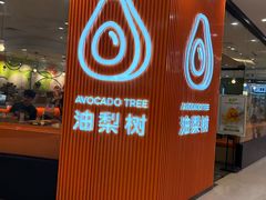 -油梨树 AVOCADO TREE(亮马桥店)