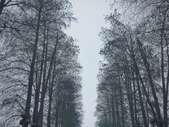 -东湖听涛景区