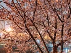 -安定门(地铁站)