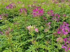 -黄河三峡风景名胜区