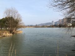 -长兴太湖图影湿地文化园
