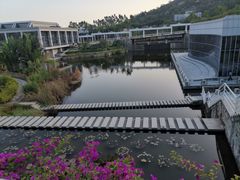 -厦门国家会计学院