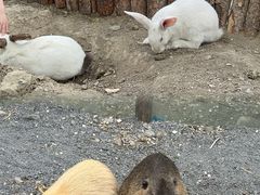 -水上乐园·欢乐世界