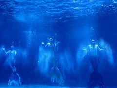 -石家庄海洋公园