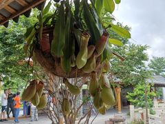 -顺德了能馆(虎门店)