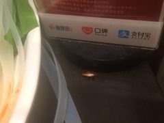 -新辣道鱼火锅(上地华联店)
