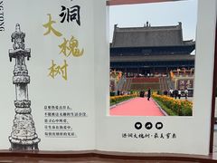 -大槐树寻根祭祖园