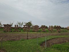 -嘉北郊野公园