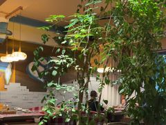 -慢丽江·云南野生菌土鸡锅(付家庄店)