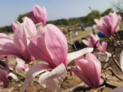 -钟山体育运动公园