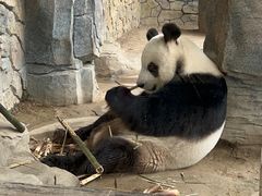 -保定市动物园