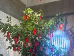 -花悦豆香