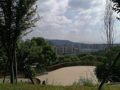 -飞凤山奥体公园